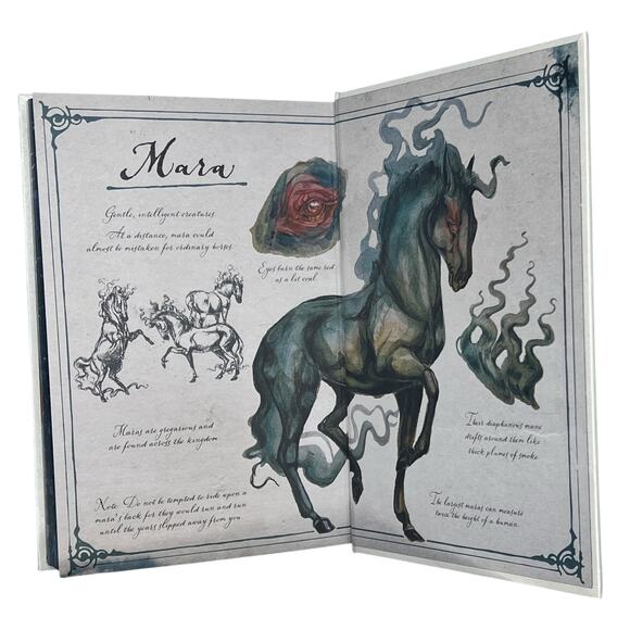 Illumicrate A Dark and Drowning Tide by Allison Saft – 2024 Special Limited Luxe - Picture 3 of 12